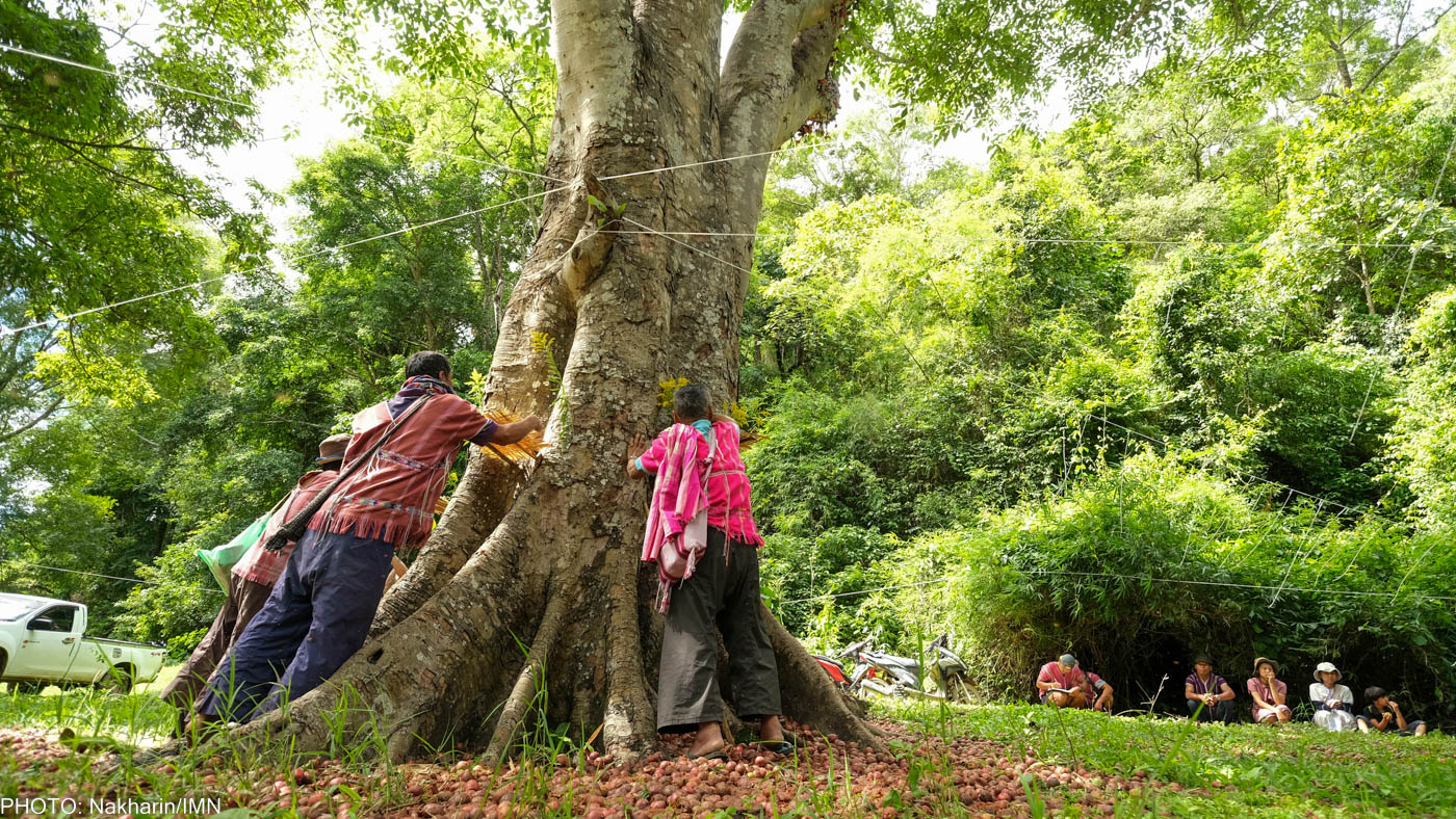 Huay Ee Khang villagers and neighbors from nearby villages in Chiang Mai, Thailand are participating in their traditional ritual to inform the guardian spirits before releasing fish into Mae Wan stream.