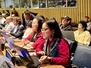 UNPFII24: Agenda Item 5 (a) – Thematic dialogue on the financing of ...